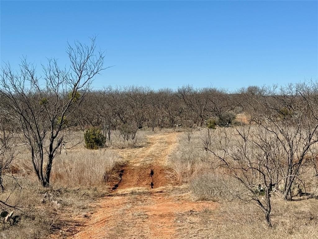 118.08 acres in Taylor County - photo 33