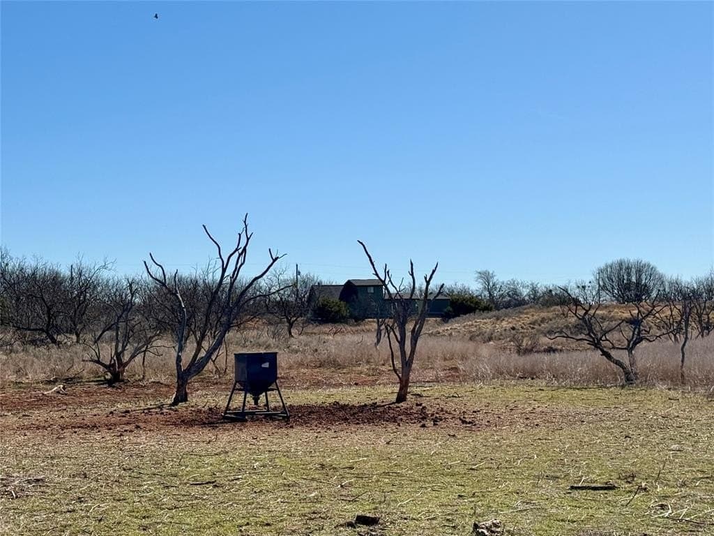118.08 acres in Taylor County - photo 36