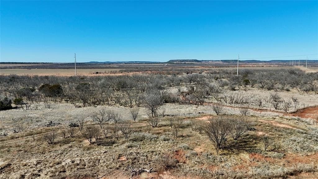 118.08 acres in Taylor County - photo 13