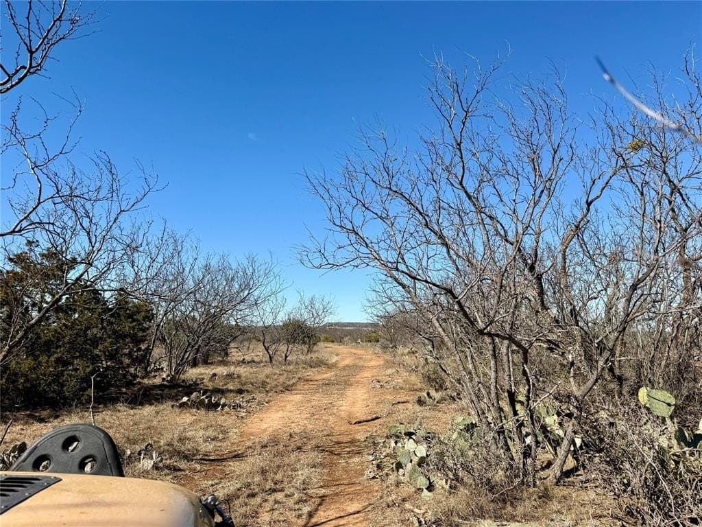 118.08 acres in Taylor County - photo 24