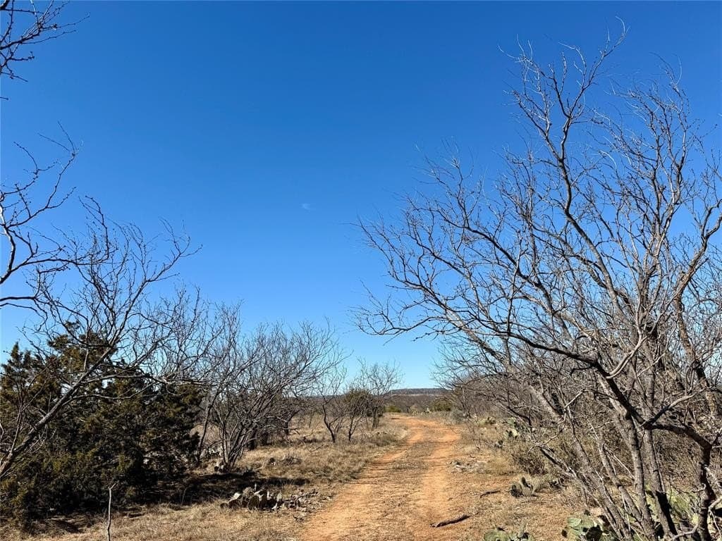 118.08 acres in Taylor County - photo 31
