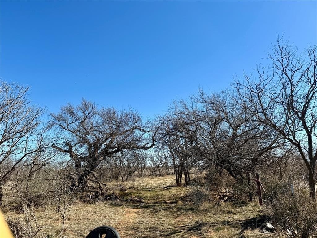 118.08 acres in Taylor County - photo 27