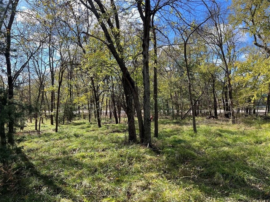1 acres in Delta County - photo 14