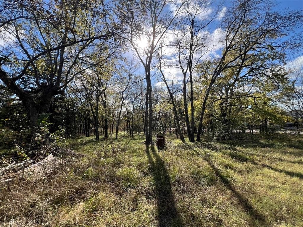 1 acres in Delta County - photo 11