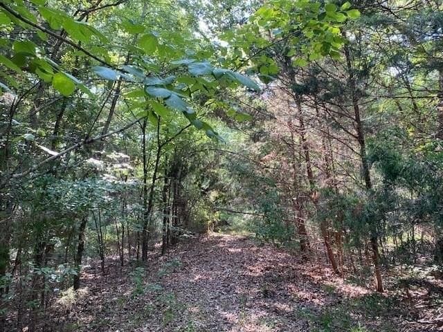 24.84 acres in Henderson County - photo 6