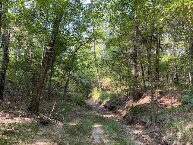 24.84 acres in Henderson County - photo 2