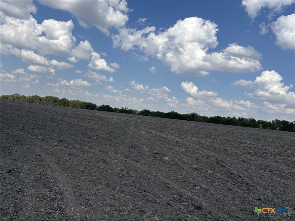 41 acres in Falls County - photo 4