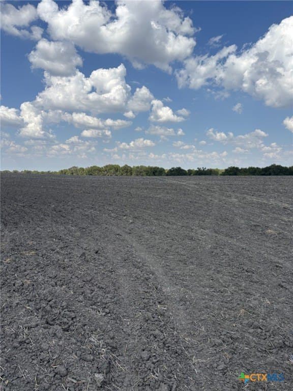 41 acres in Falls County - photo 3