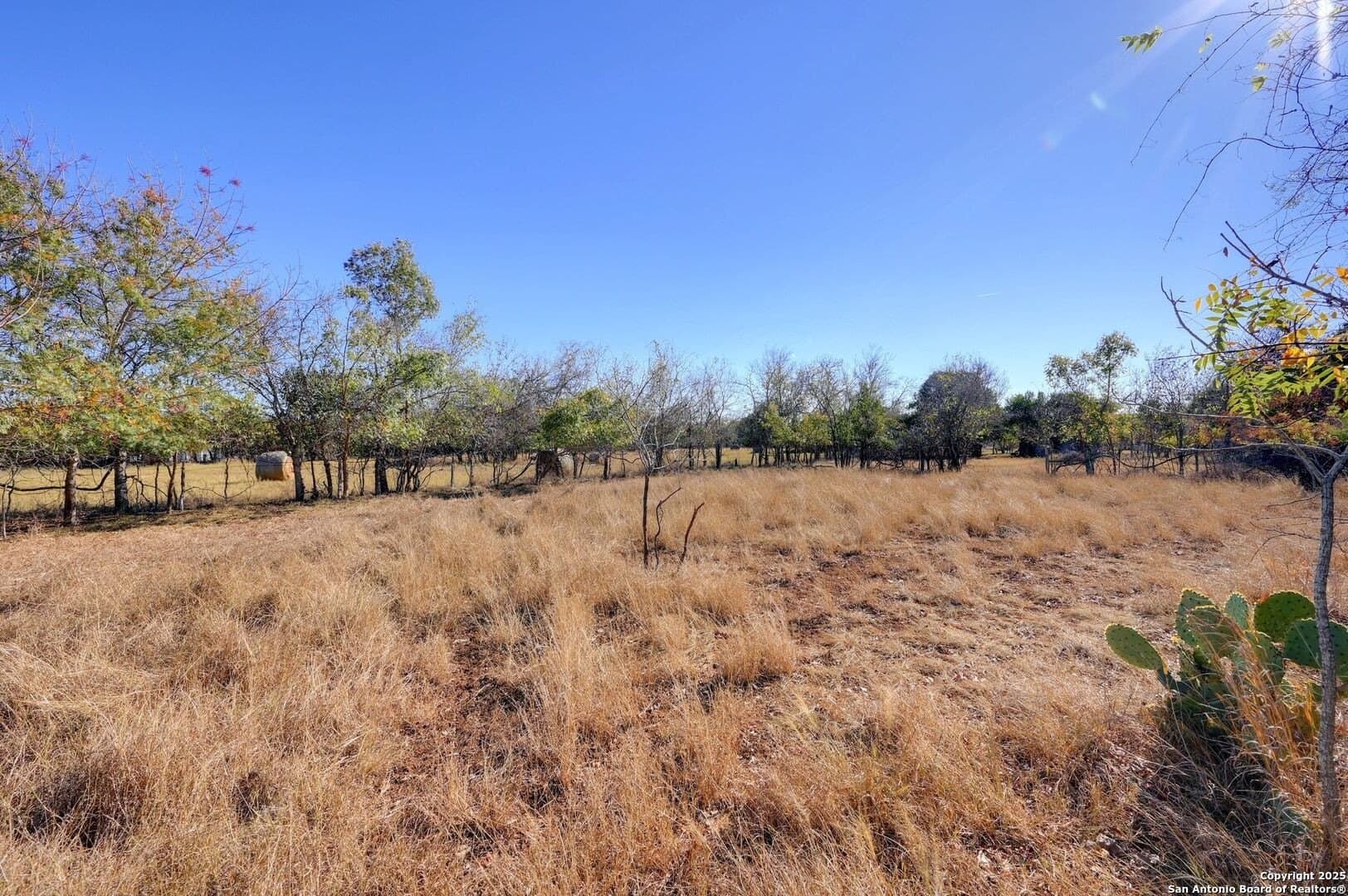1.01 acres in Blanco County - photo 17