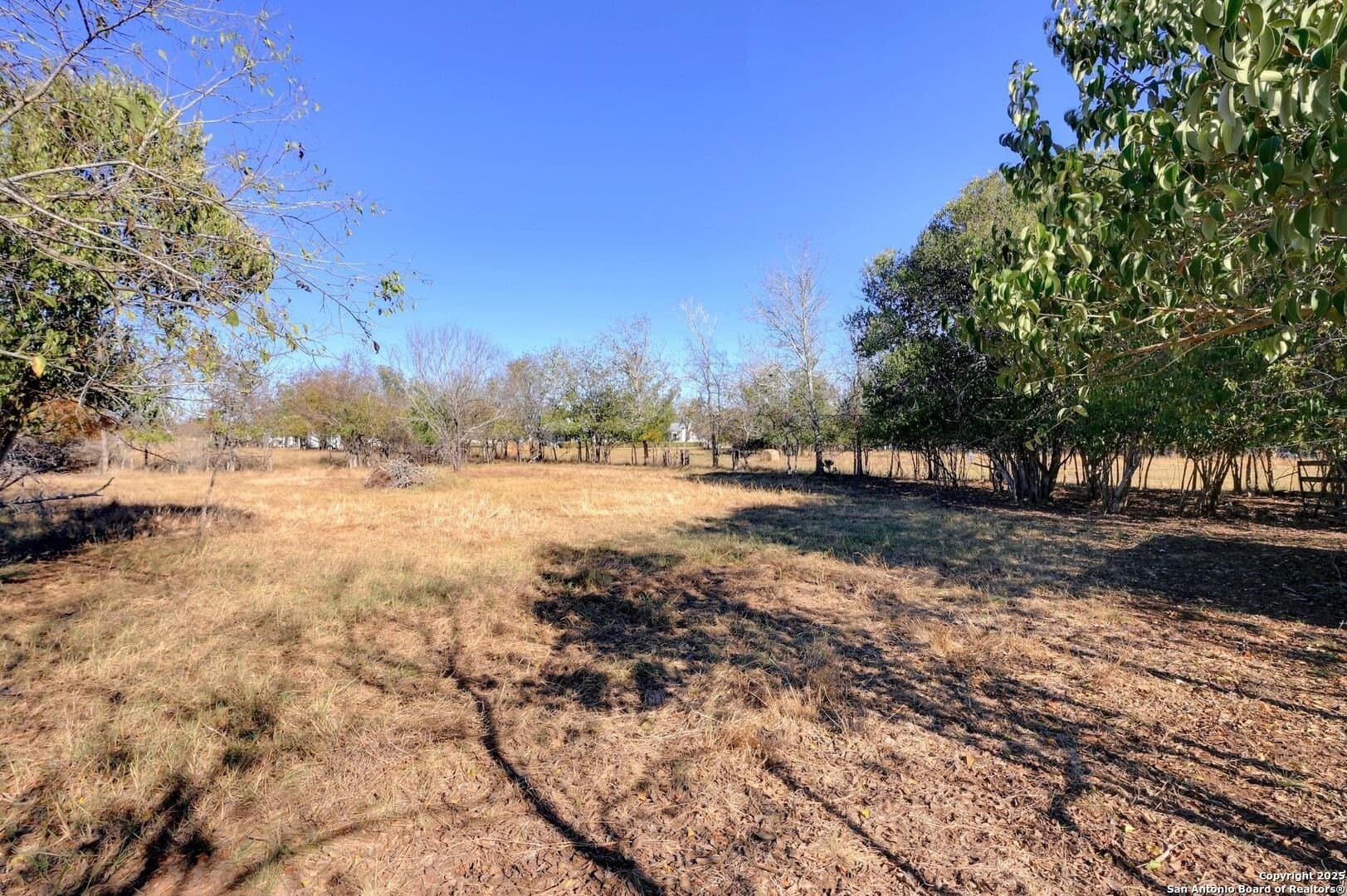1.01 acres in Blanco County - photo 19