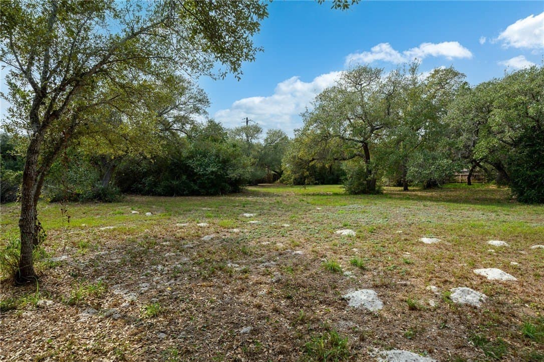0.33 acres in San Patricio County - photo 3