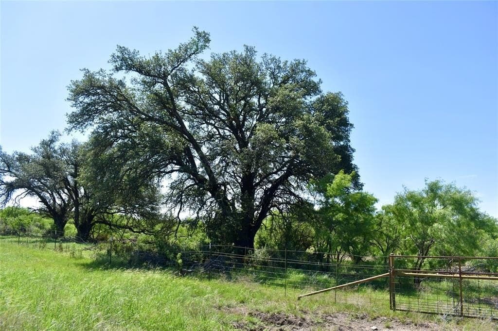 539.39 acres in McCulloch County - photo 31