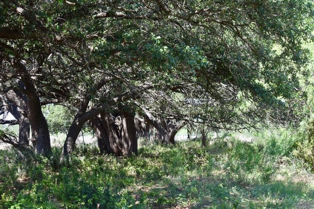 539.39 acres in McCulloch County - photo 34