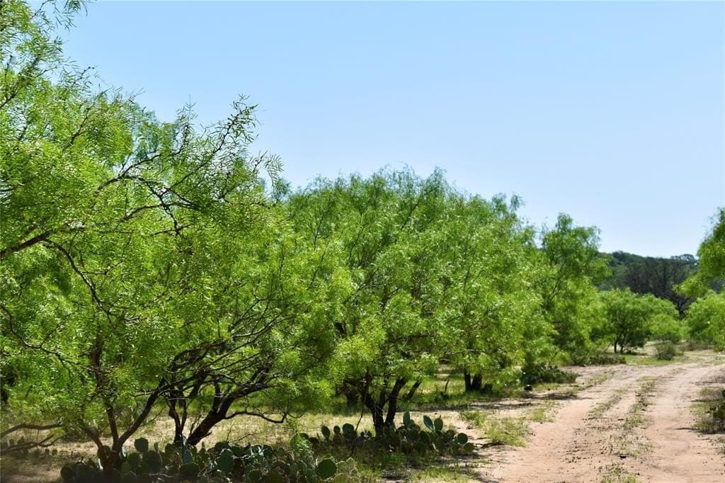 539.39 acres in McCulloch County - photo 16