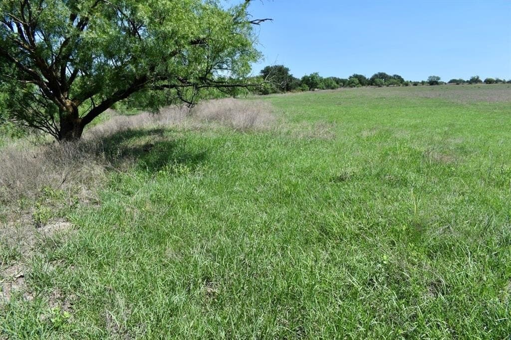 539.39 acres in McCulloch County - photo 4