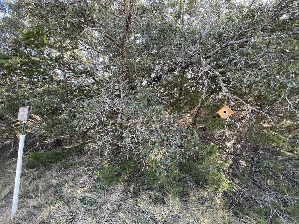 69.12 acres in Hamilton County - photo 4