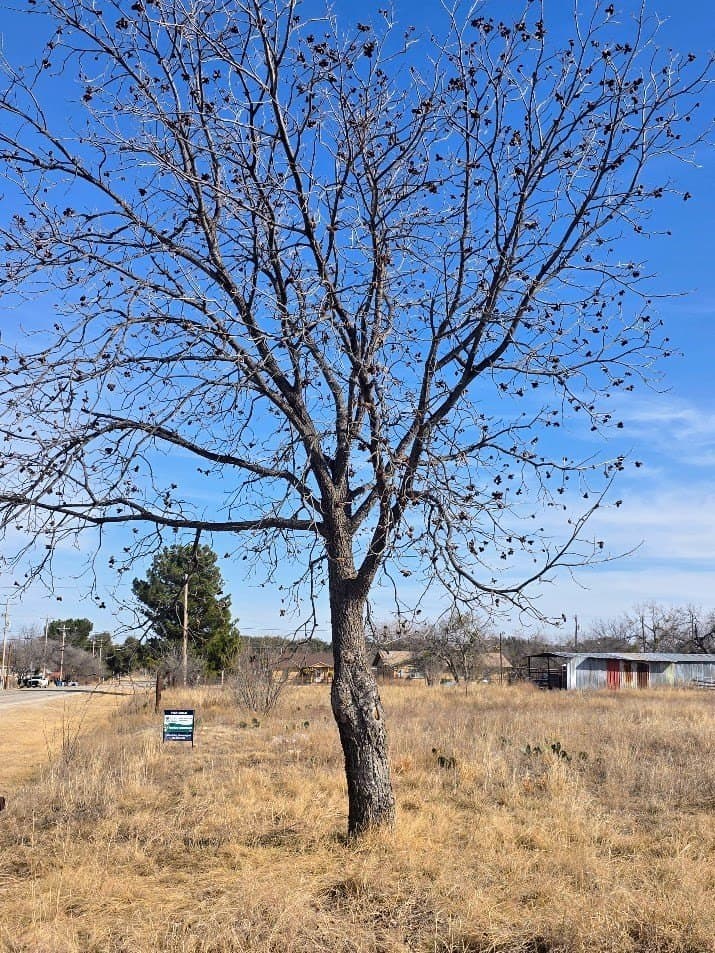 0.76 acres in Irion County - photo 3