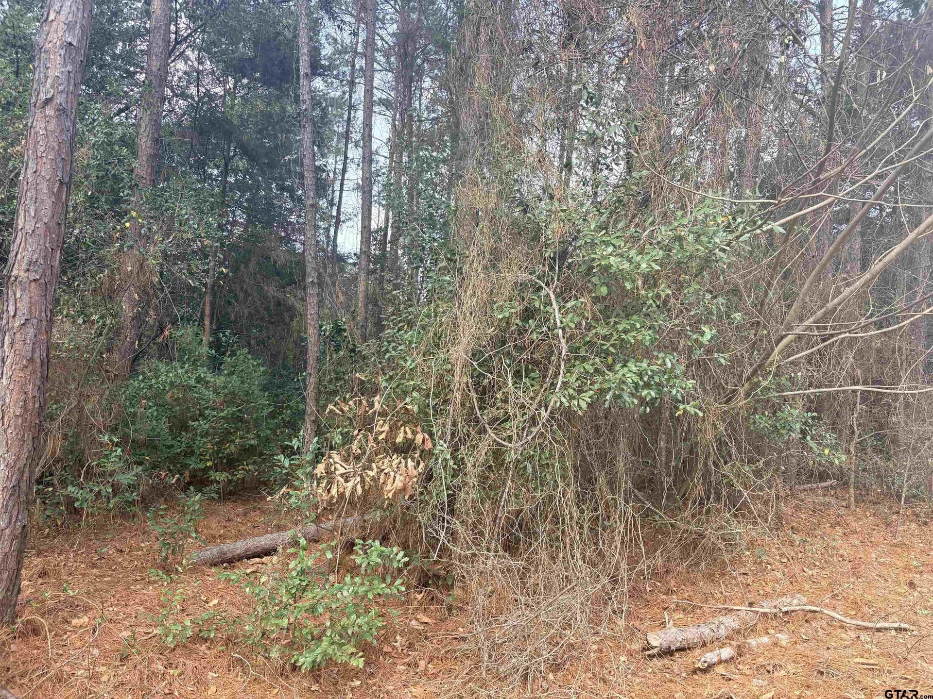0.17 acres in Cherokee County - photo 3