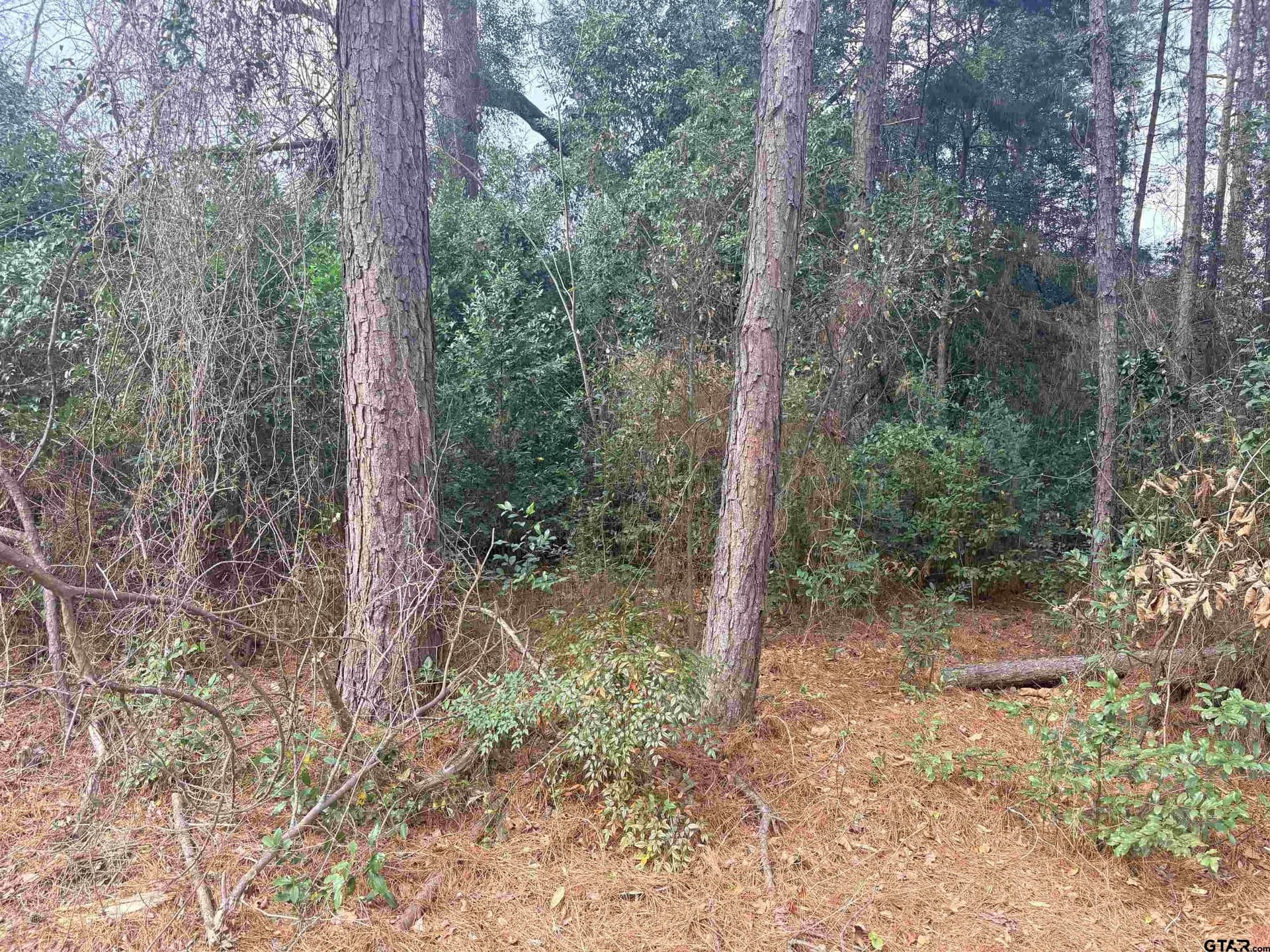 0.17 acres in Cherokee County - photo 4