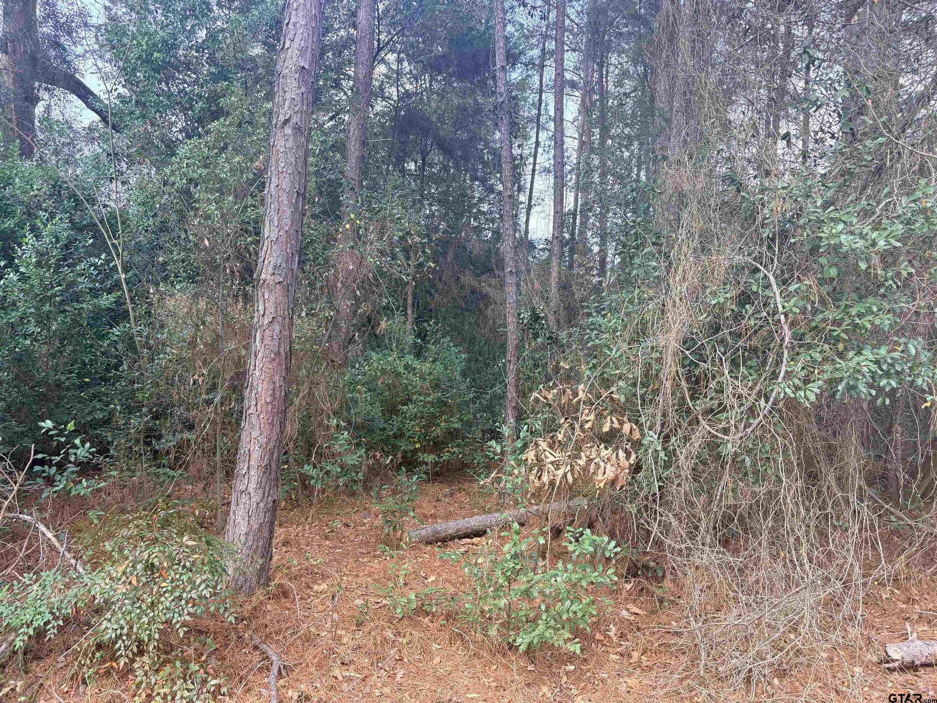 0.17 acres in Cherokee County - photo 2