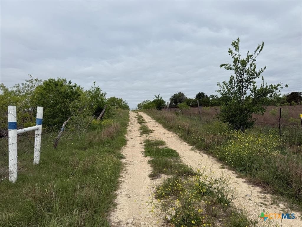 6.03 acres in Williamson County - photo 7