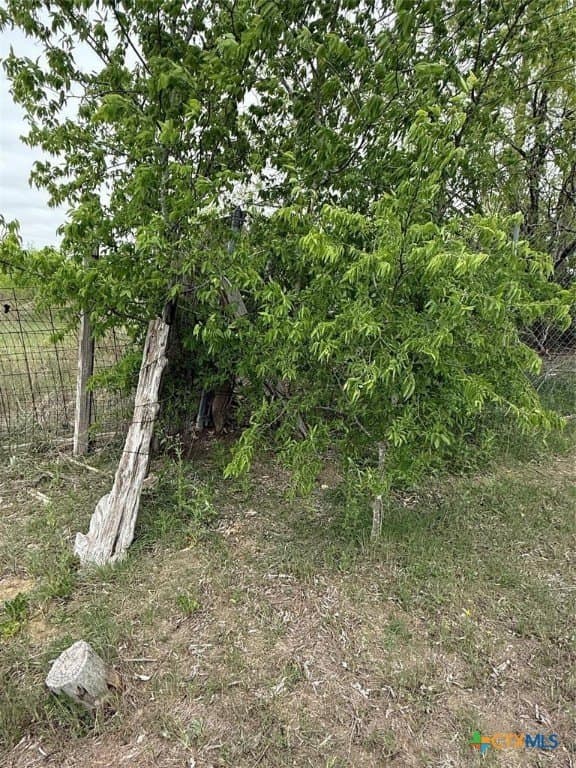 6.03 acres in Williamson County - photo 9