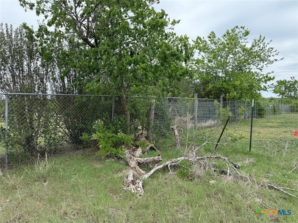 6.03 acres in Williamson County - photo 10