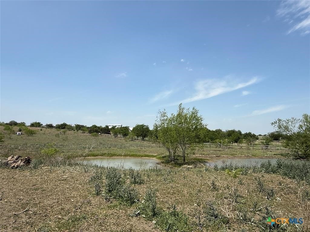 6.03 acres in Williamson County - photo 25