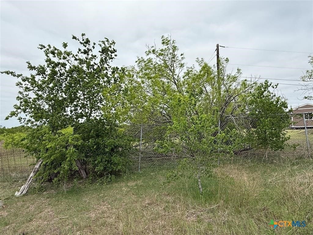 6.03 acres in Williamson County - photo 31