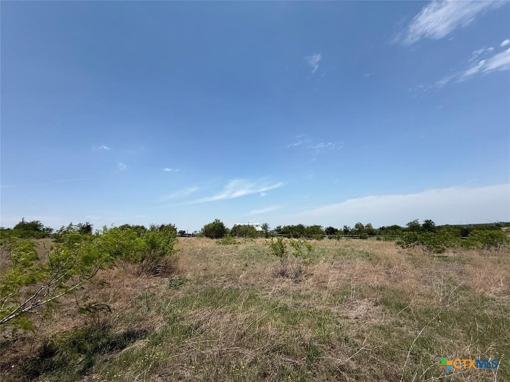 6.03 acres in Williamson County - photo 18
