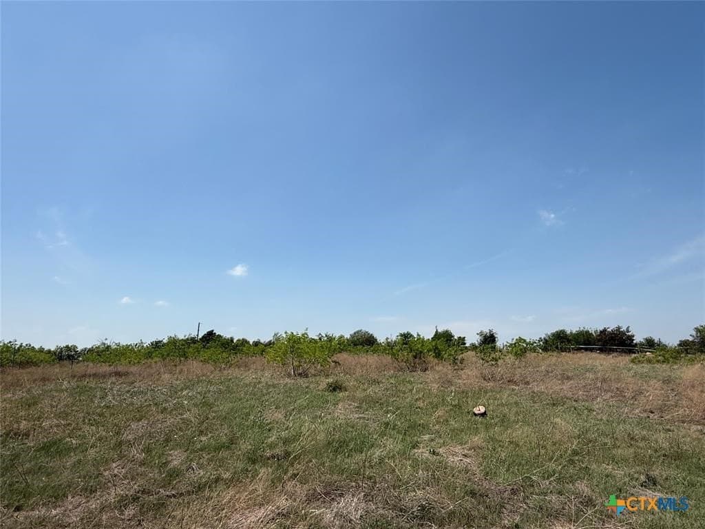 6.03 acres in Williamson County - photo 22