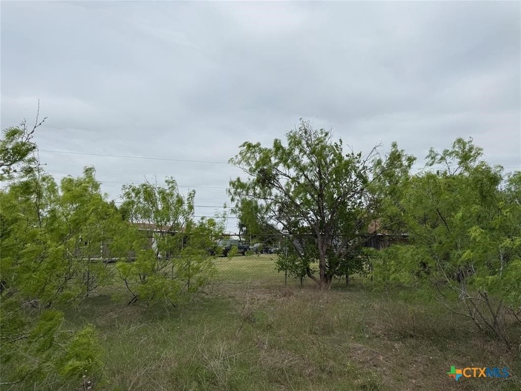 6.03 acres in Williamson County - photo 32