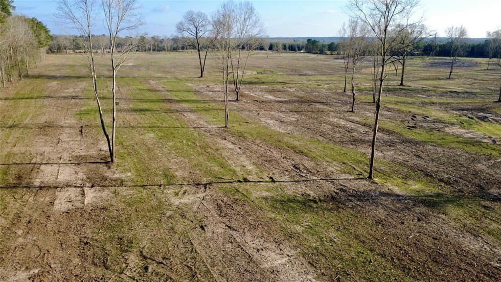 62.97 acres in HOUSTON County - photo 7