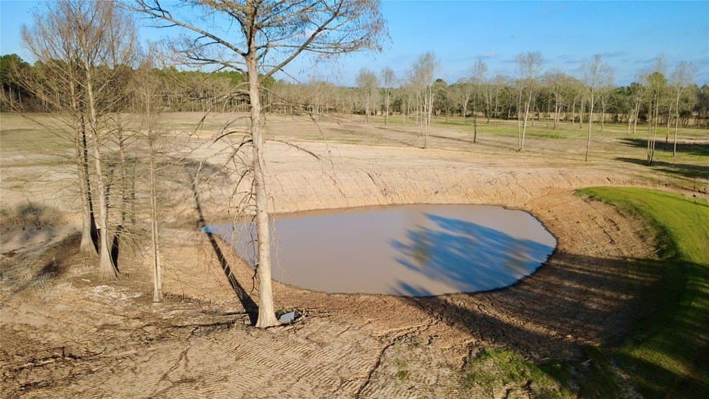 62.97 acres in HOUSTON County - photo 12