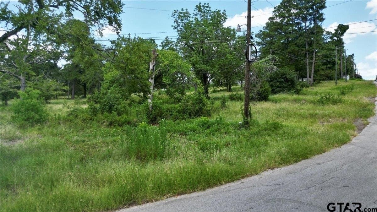 10.16 acres in Smith County - photo 24