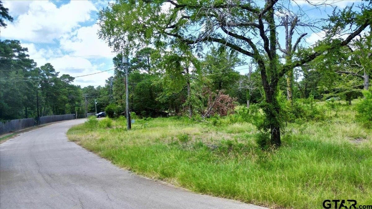 10.16 acres in Smith County - photo 27