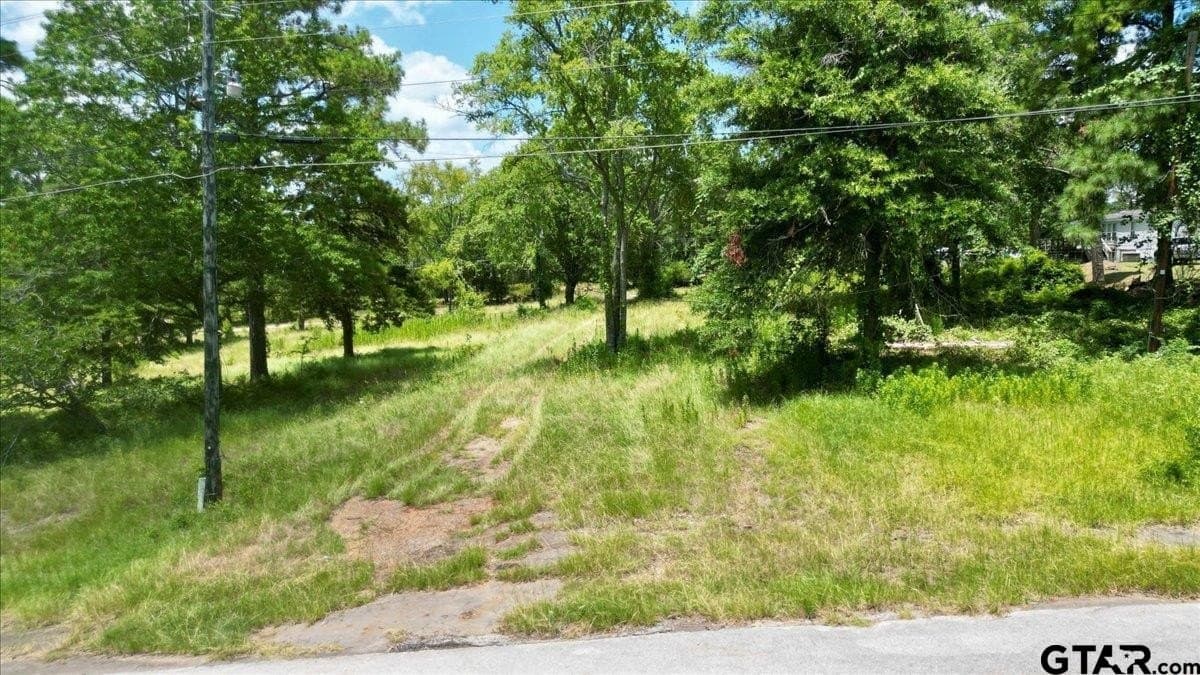 10.16 acres in Smith County - photo 17