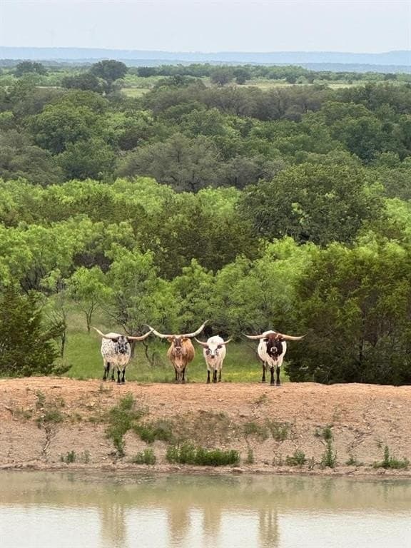 88.27 acres in Eastland County - photo 10