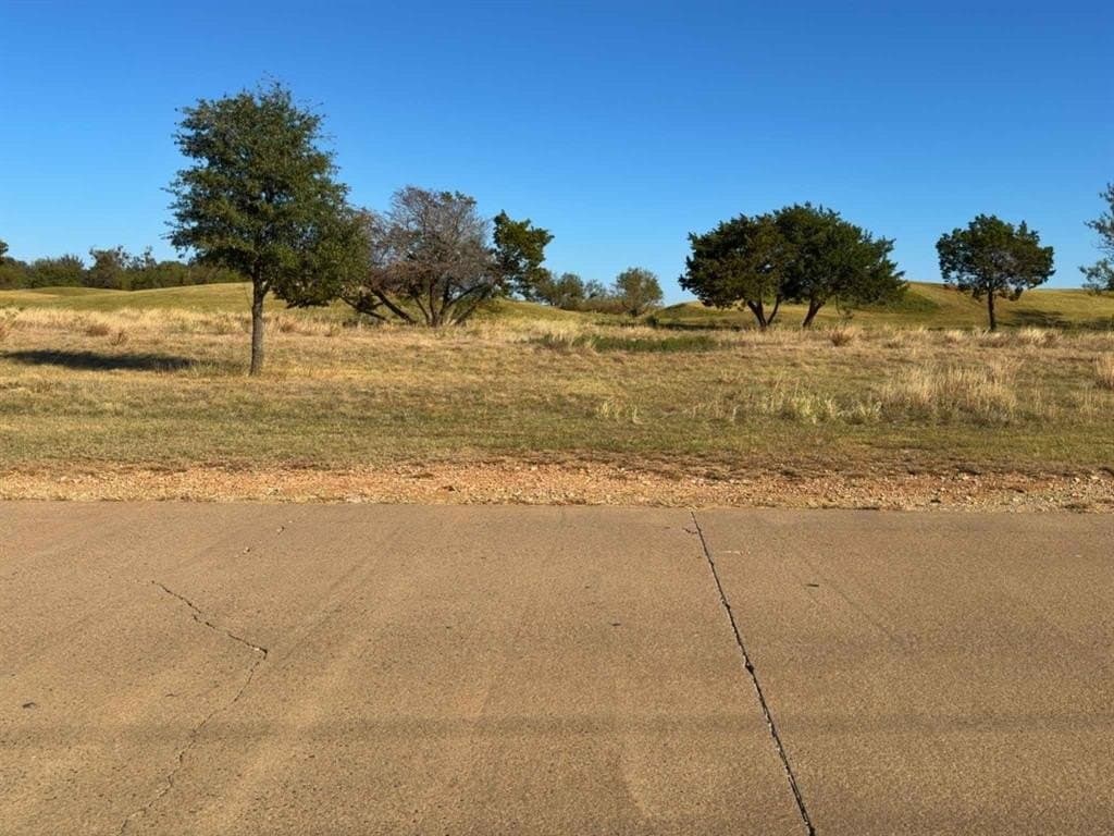 0.22 acres in Palo Pinto County - photo 3