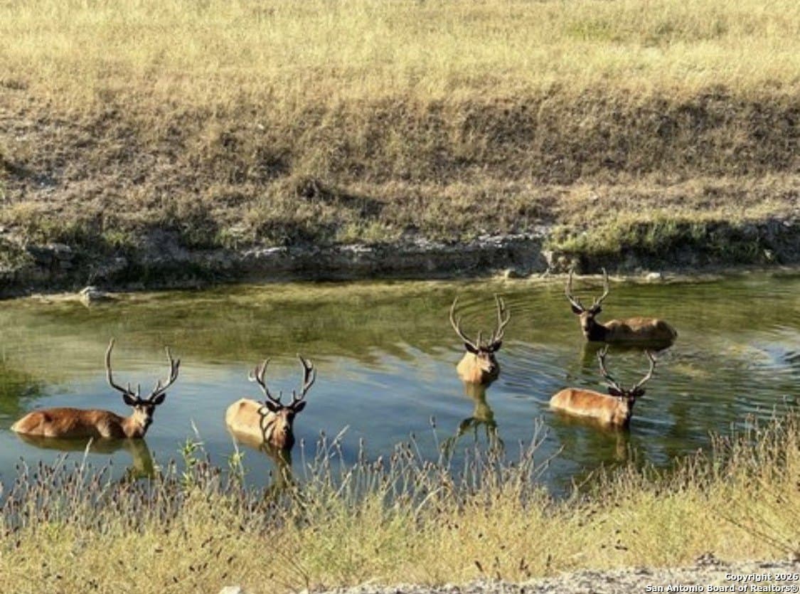 6 acres in Bandera County - photo 2