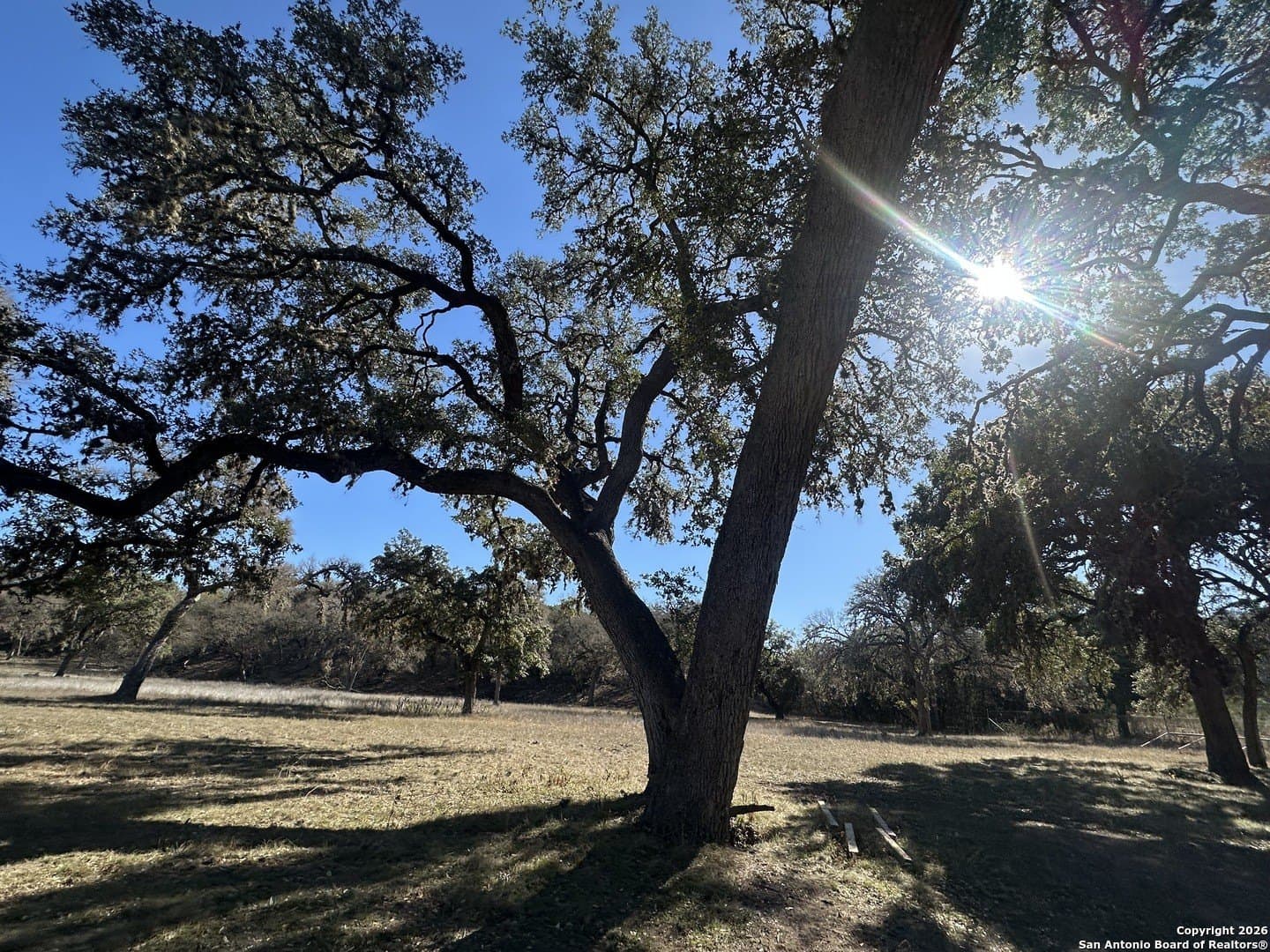 6 acres in Bandera County - photo 25