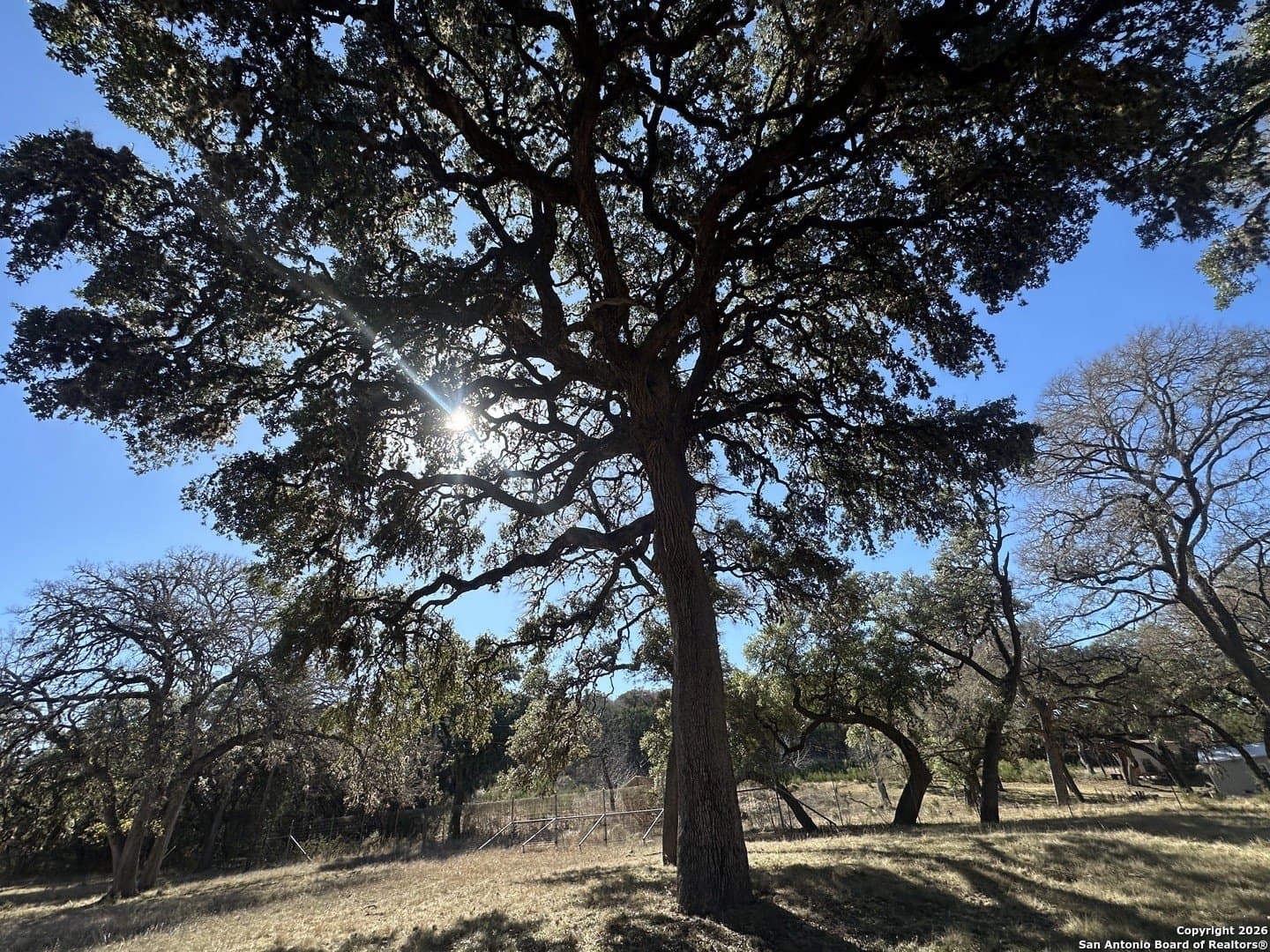 6 acres in Bandera County - photo 16