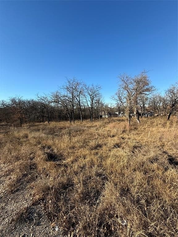 0.25 acres in Wise County - photo 4