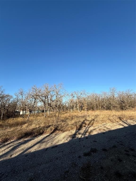 0.25 acres in Wise County - photo 2
