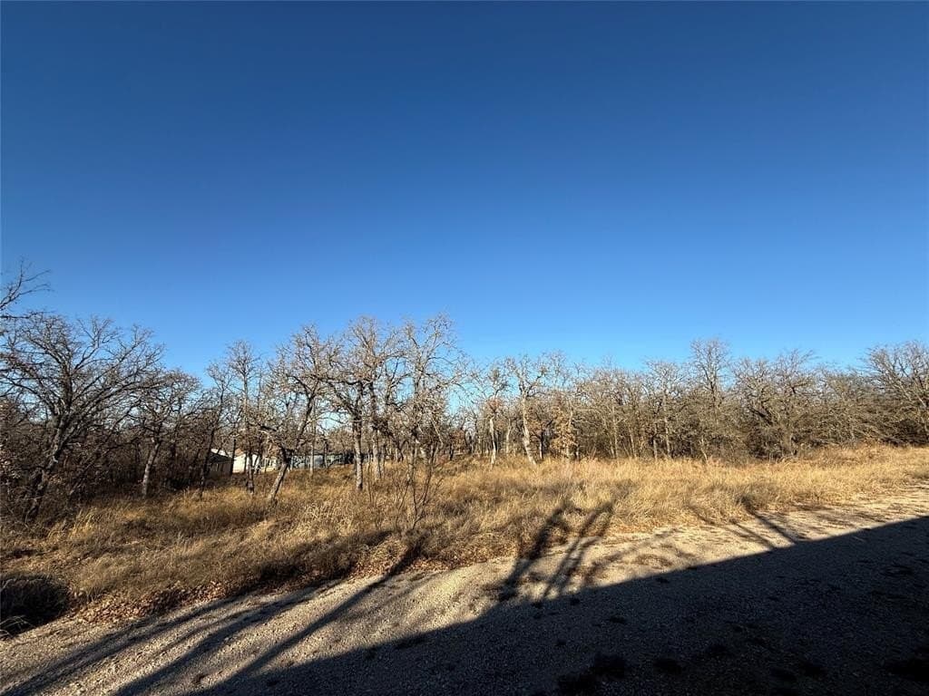 0.25 acres in Wise County - photo 3