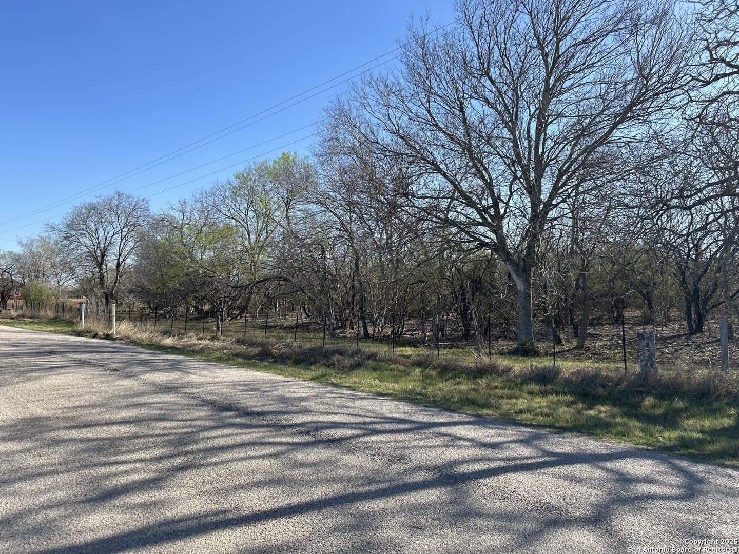 10 acres in Atascosa County - photo 2