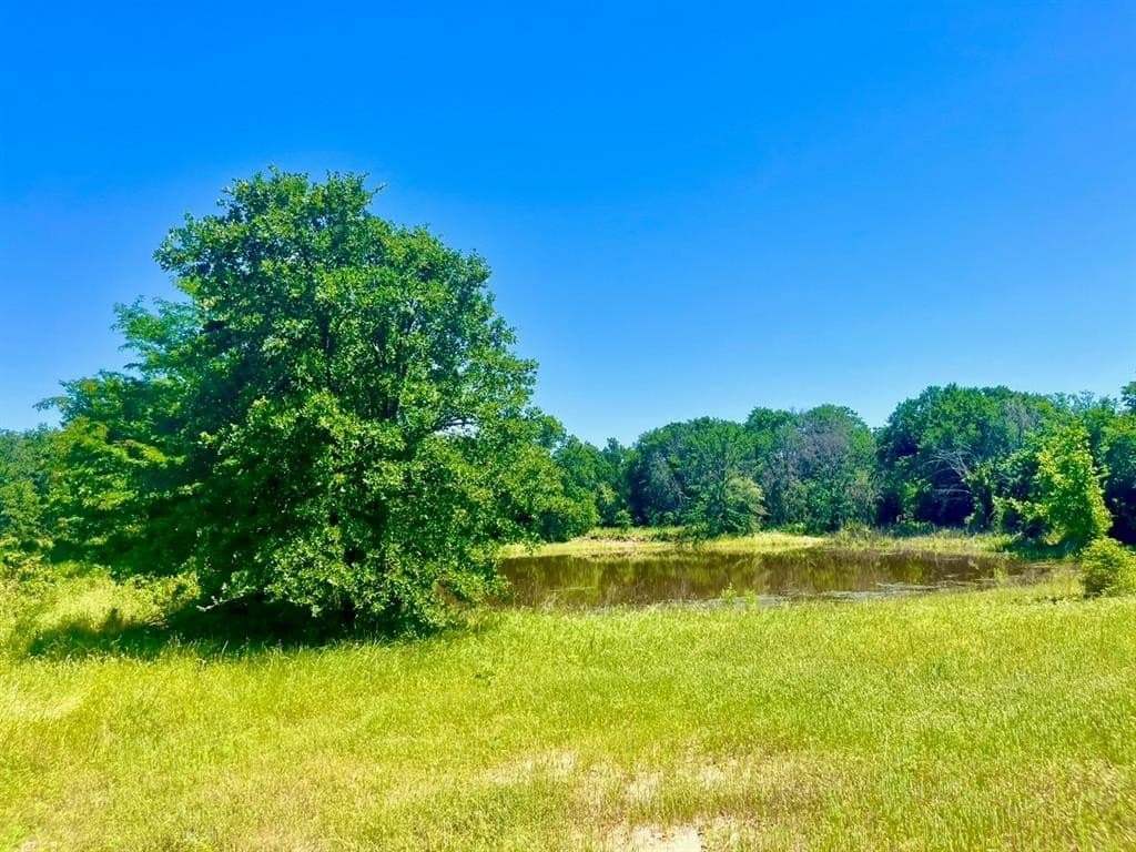 2 acres in Parker County - photo 2