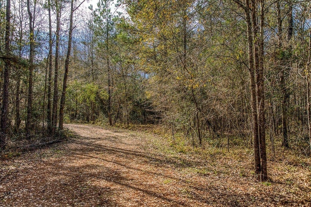 30.72 acres in Grimes County - photo 28