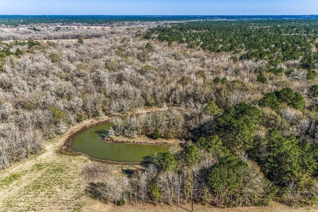 30.72 acres in Grimes County - photo 4