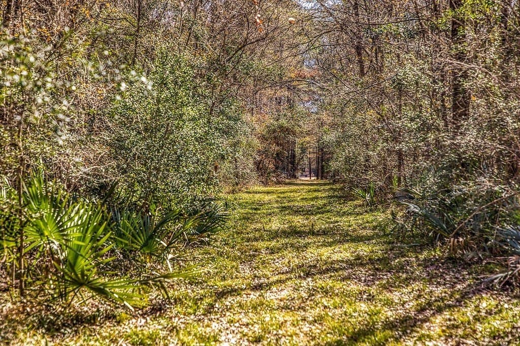 30.72 acres in Grimes County - photo 18